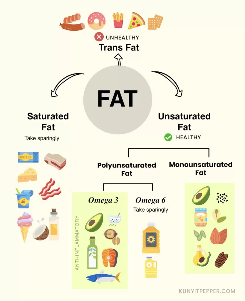 Diagram showing fat division