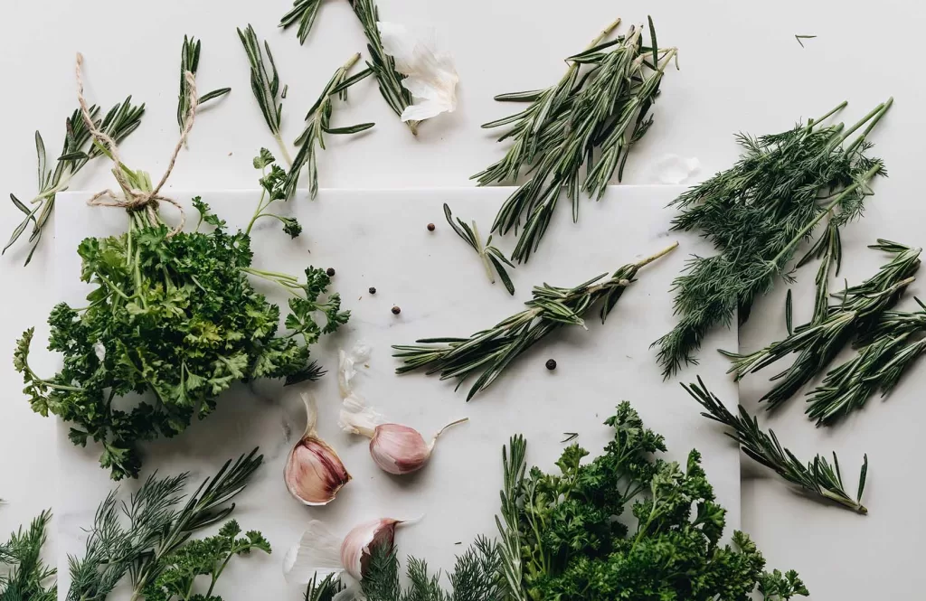 Different variety of herbs