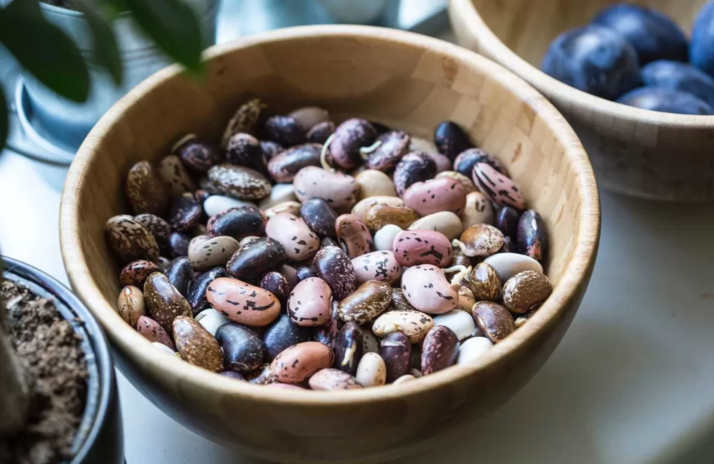 Mixed beans in a bowl