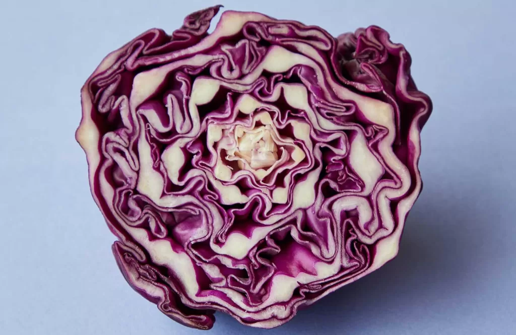 Red Cabbage - anti-inflammatory food grocery list 3