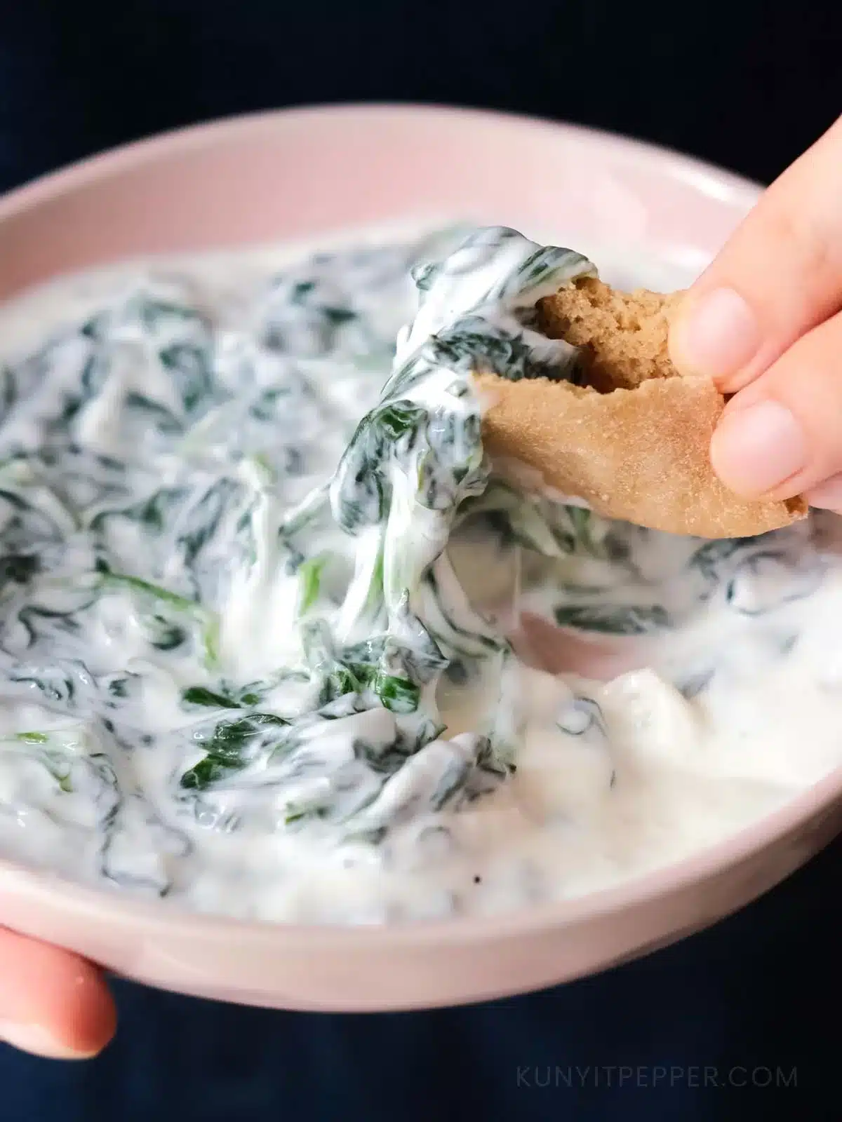Yogurt Spinach Dip (Borani Esfenaj)